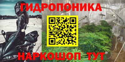 крисы Ирбит