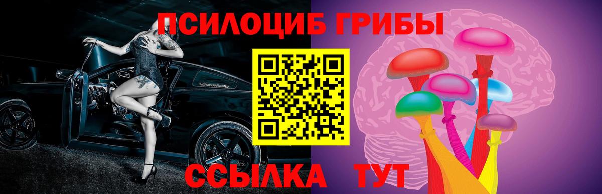 Псилоцибиновые грибы Cubensis  Вход с VPN  Лысьва 