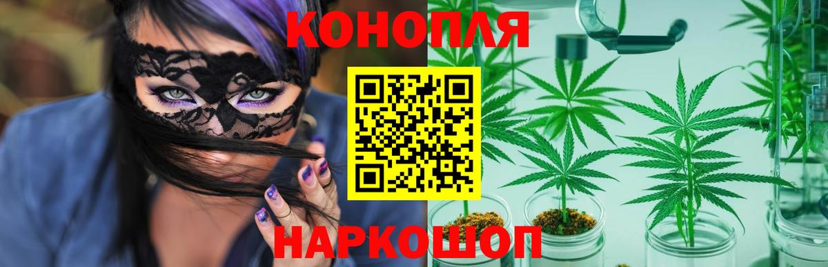 Каннабис ГИДРОПОН Лысьва